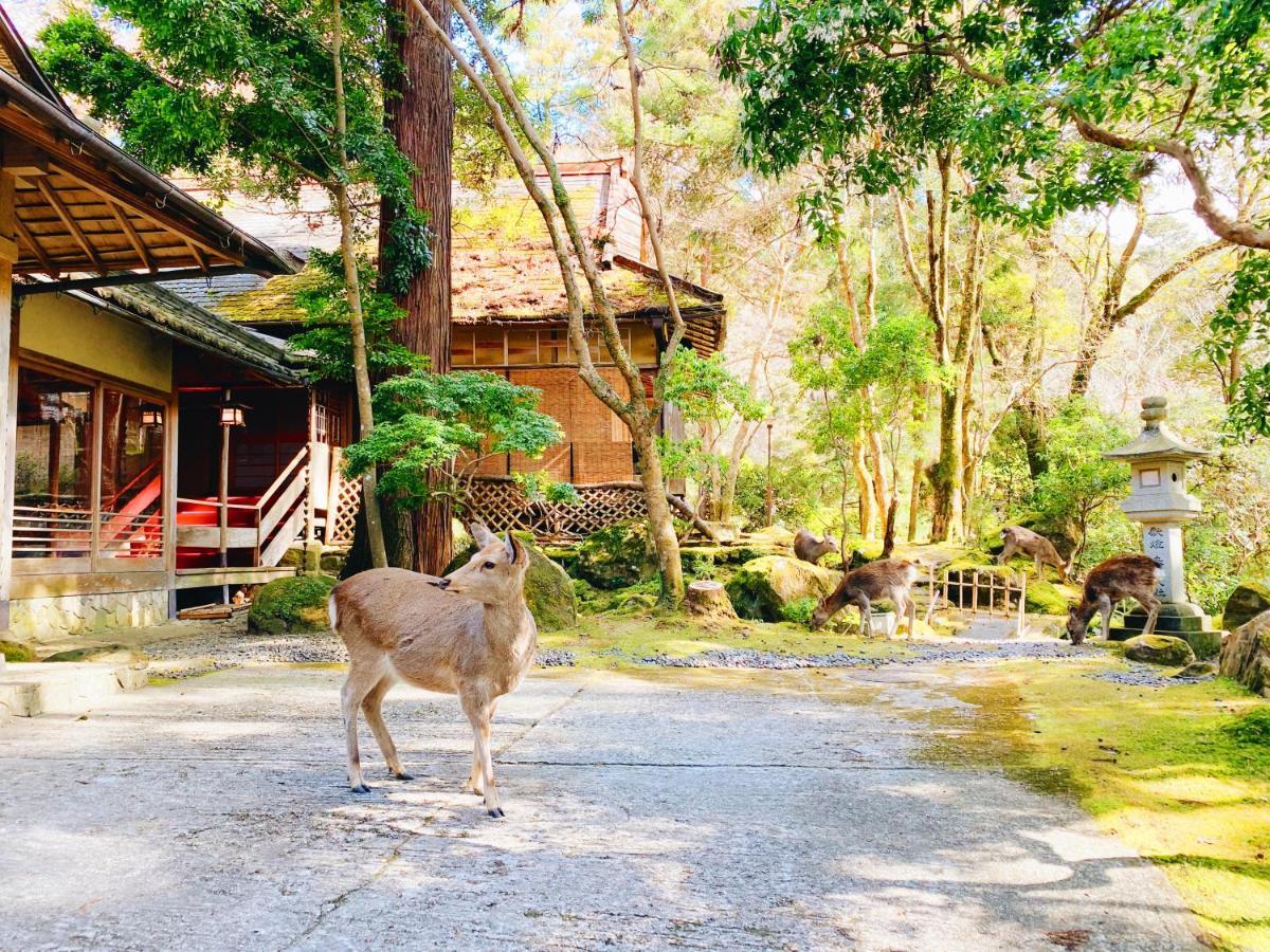 Tsukihitei Hotel Nara Bagian luar foto